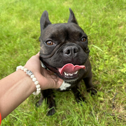 Pulseira Solidária “Adoro os Cães” 🐾