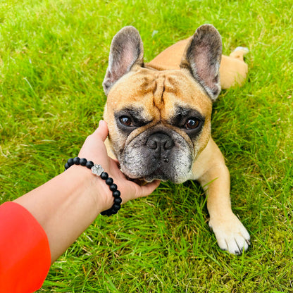 Pulseira Solidária “Adoro os Cães” 🐾