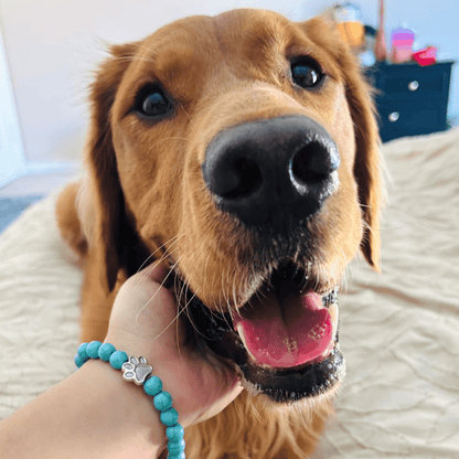 Pulseira Solidária “Adoro os Cães” 🐾