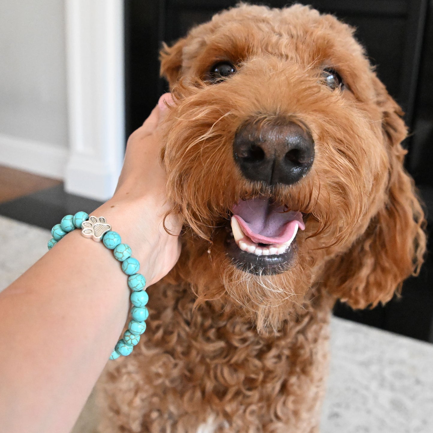 Pulseira Solidária “Adoro os Cães” 🐾