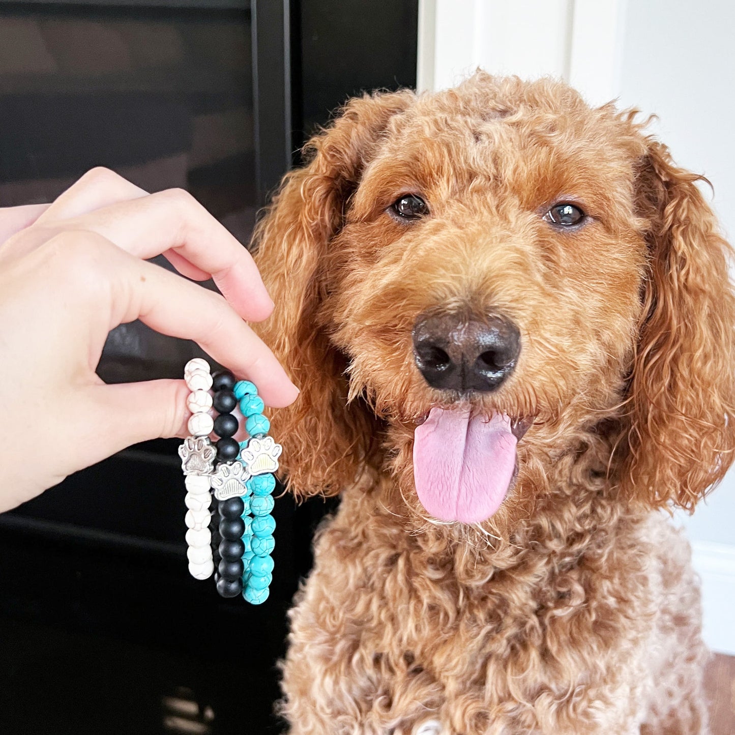 Pulseira Solidária “Adoro os Cães” 🐾
